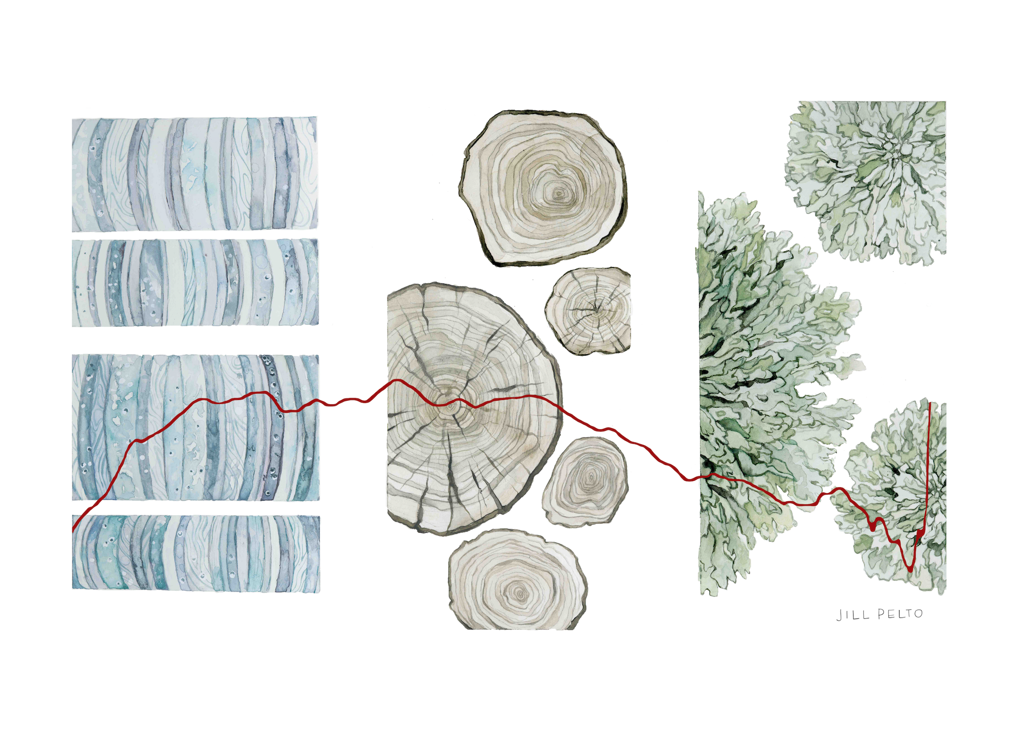 Proxies of the Past — Jill Pelto Art
